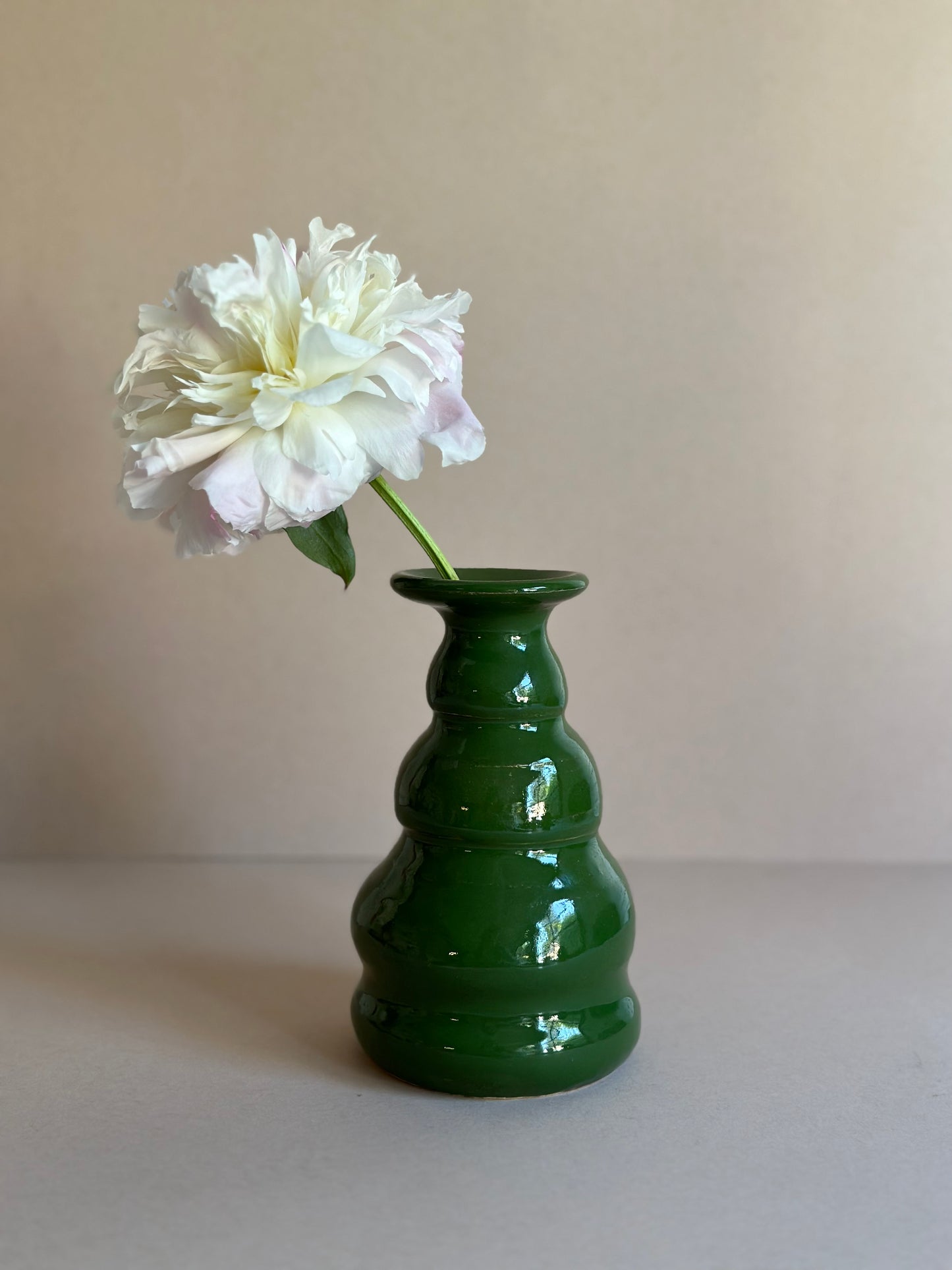 Earthy Wiggle Vase